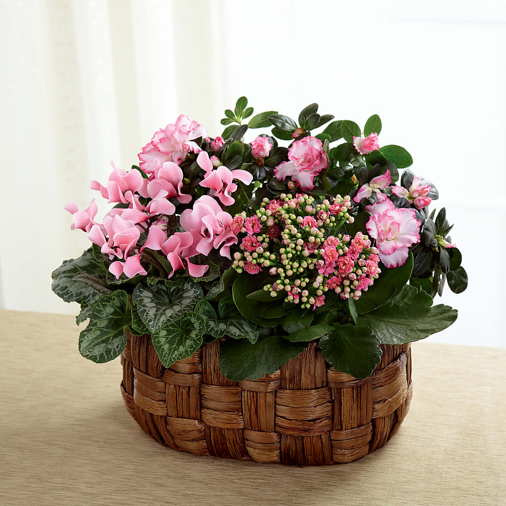 Pink Assortment – La Maison De Fleur, Pierre Part LA
