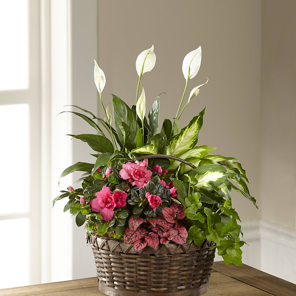 Dream in Pink Dishgarden – La Maison De Fleur, Pierre Part LA