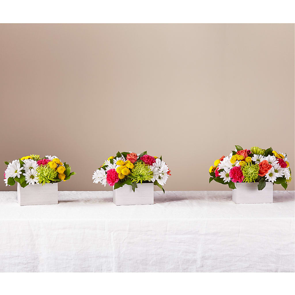 Sorbet Bouquet – La Maison De Fleur, Pierre Part LA