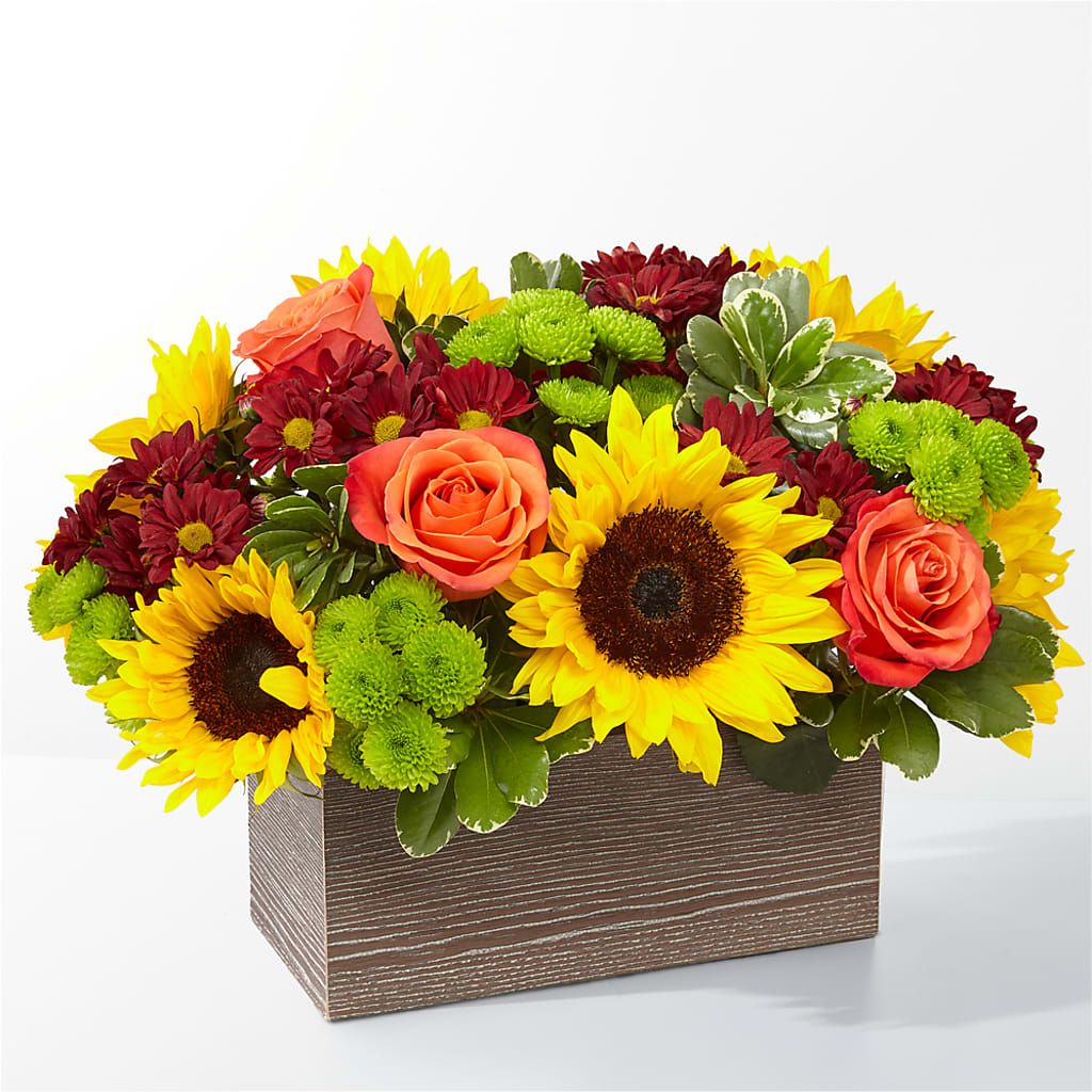 Happy Harvest Garden – La Maison De Fleur, Pierre Part LA