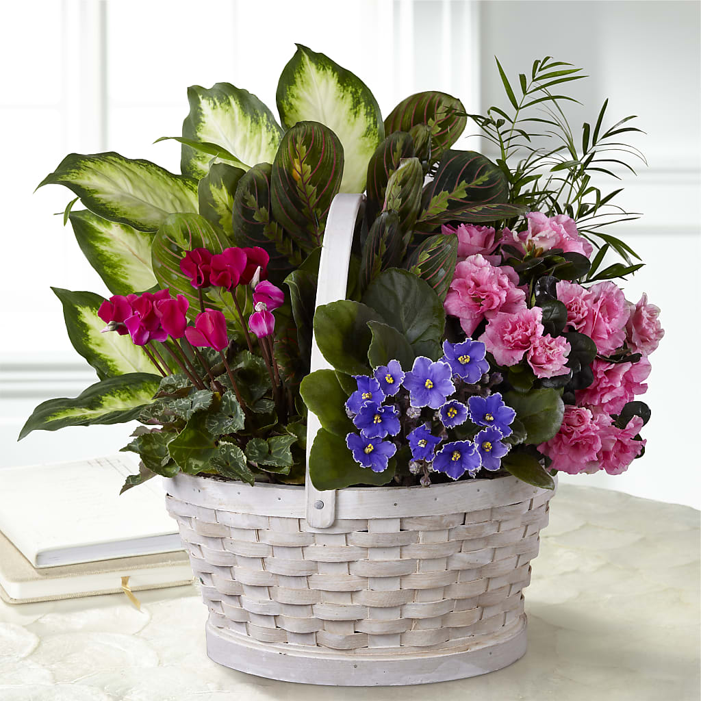Peaceful Garden Planter – La Maison De Fleur, Pierre Part LA