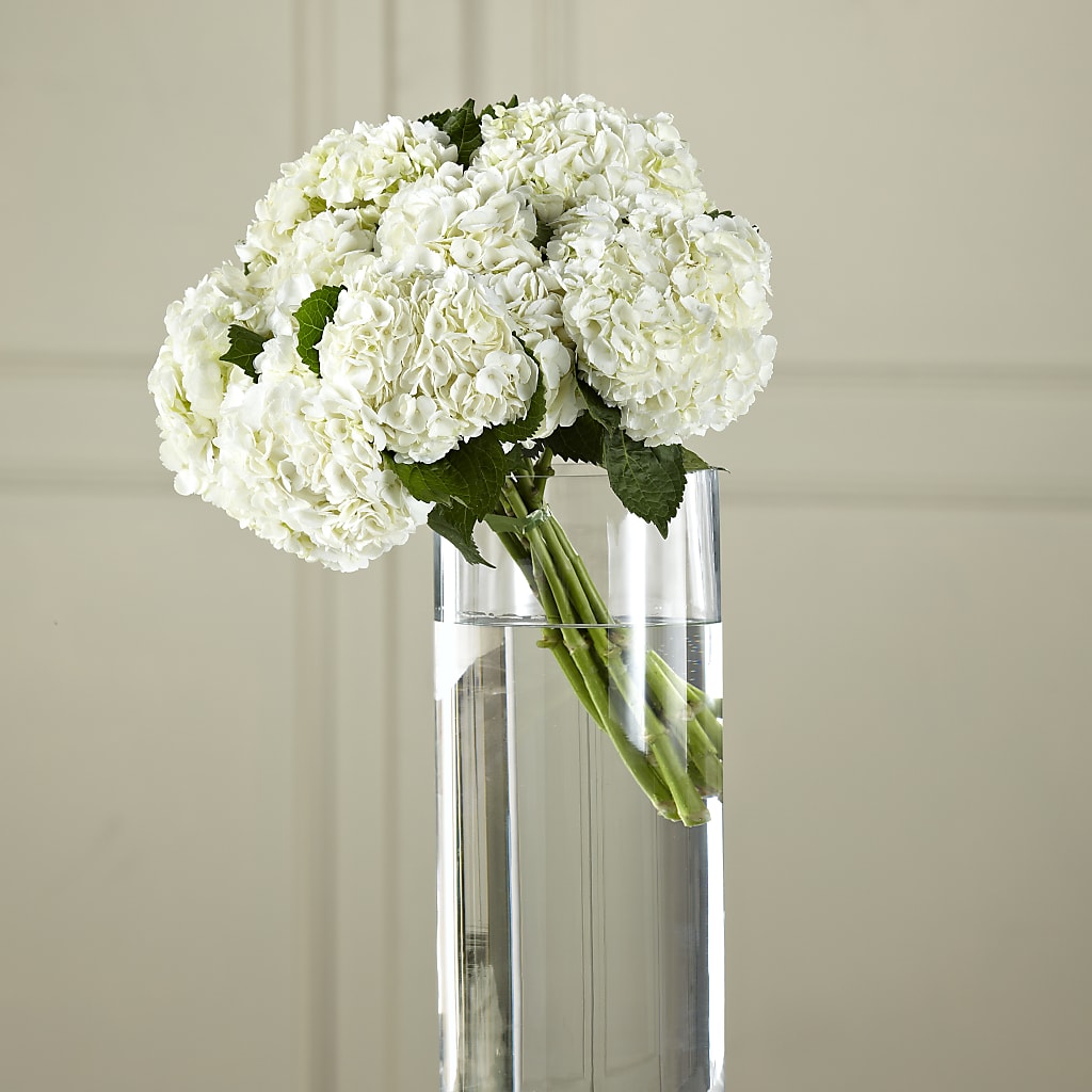 White Hydrangea Hand-Tied Bouquet – La Maison De Fleur, Pierre Part LA