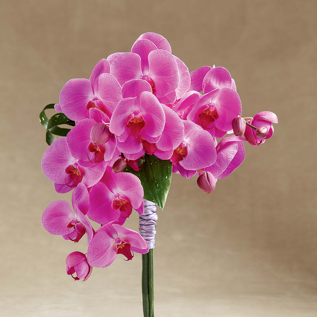Glorious Bouquet – La Maison De Fleur, Pierre Part LA