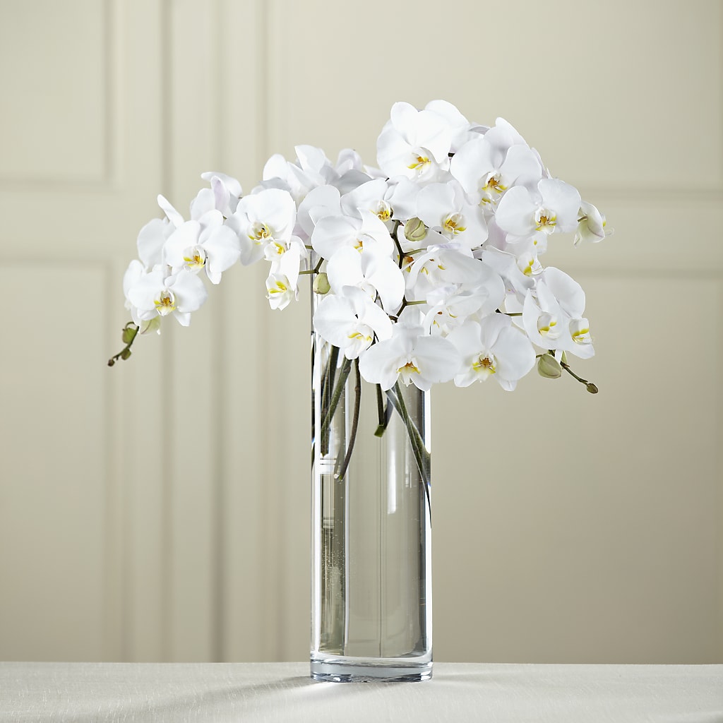 White Phalaenopsis Bouquet – La Maison De Fleur, Pierre Part LA