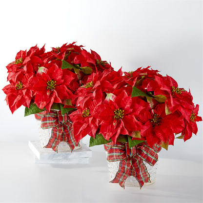 Happiest Holidays Poinsettia Bundle –  La Maison De Fleur, Pierre Part LA