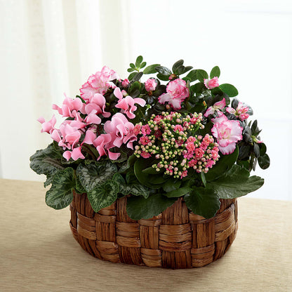 Pink Assortment –  La Maison De Fleur, Pierre Part LA