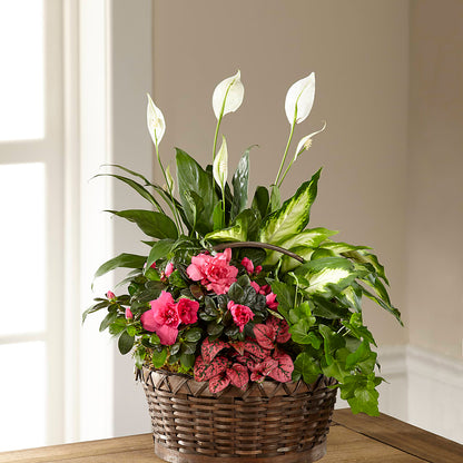 Dream in Pink Dishgarden –  La Maison De Fleur, Pierre Part LA