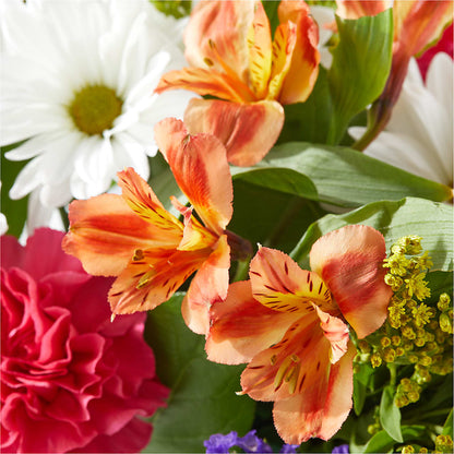 Oopsie Daisy Box Bouquet –  La Maison De Fleur, Pierre Part LA