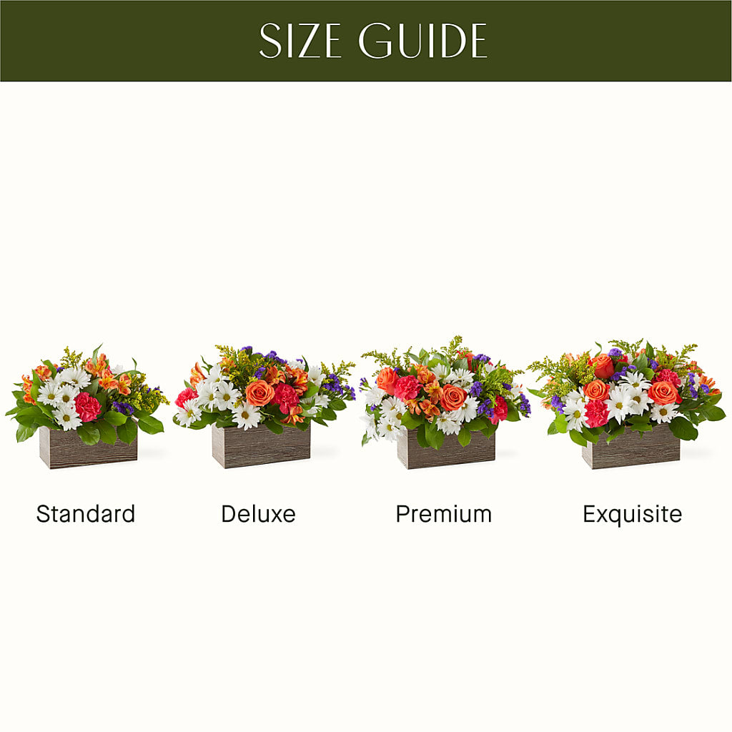 Oopsie Daisy Box Bouquet –  La Maison De Fleur, Pierre Part LA