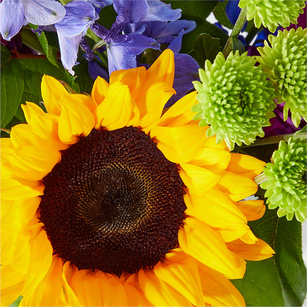 Catching Rays Bouquet –  La Maison De Fleur, Pierre Part LA