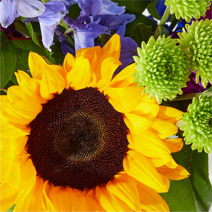 Catching Rays Bouquet –  La Maison De Fleur, Pierre Part LA
