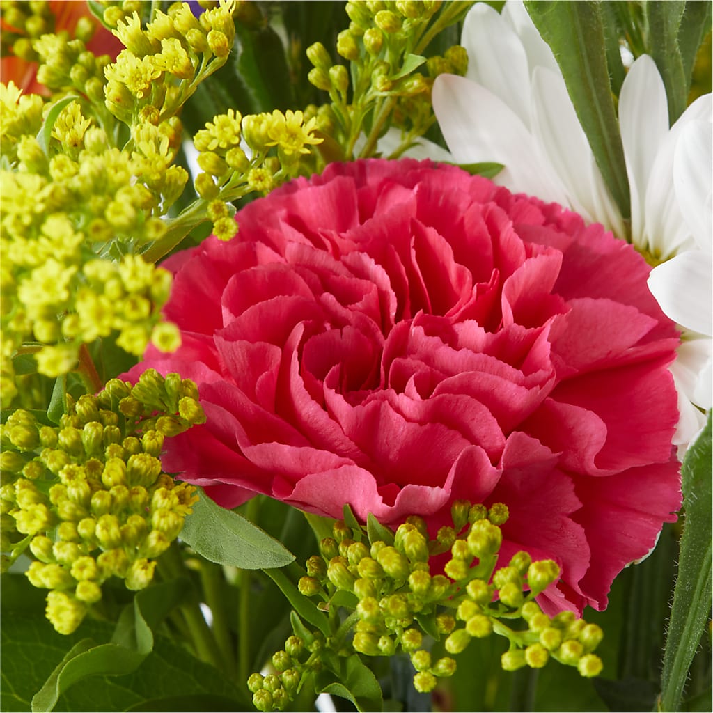Oopsie Daisy Bouquet –  La Maison De Fleur, Pierre Part LA