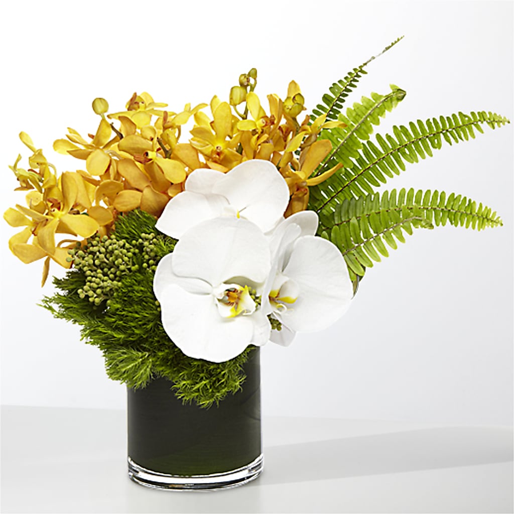 The Tropics –  La Maison De Fleur, Pierre Part LA