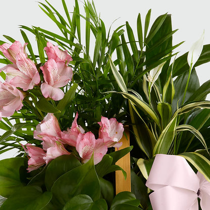 Living Spirit Dishgarden –  La Maison De Fleur, Pierre Part LA
