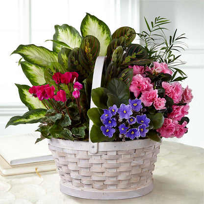 Peaceful Garden Planter –  La Maison De Fleur, Pierre Part LA