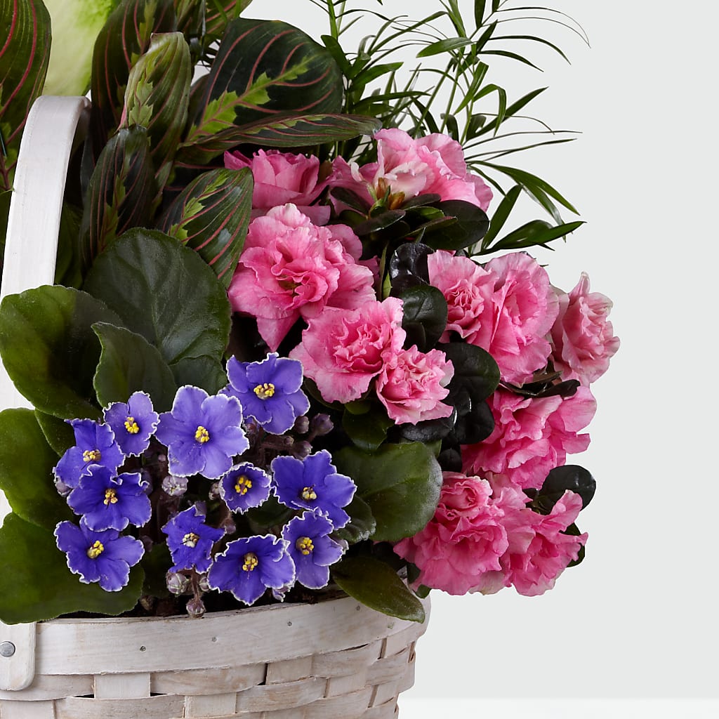 Peaceful Garden Planter –  La Maison De Fleur, Pierre Part LA