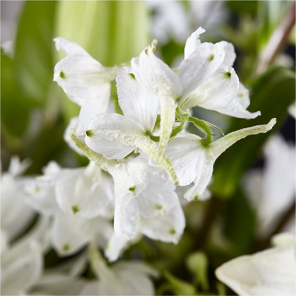 Classic Ivory – A Florist Original –  La Maison De Fleur, Pierre Part LA