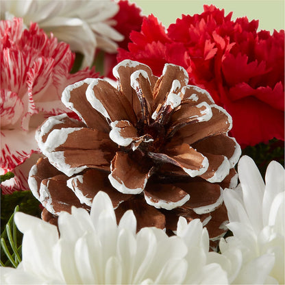 Candy Cane Lane Bouquet –  La Maison De Fleur, Pierre Part LA