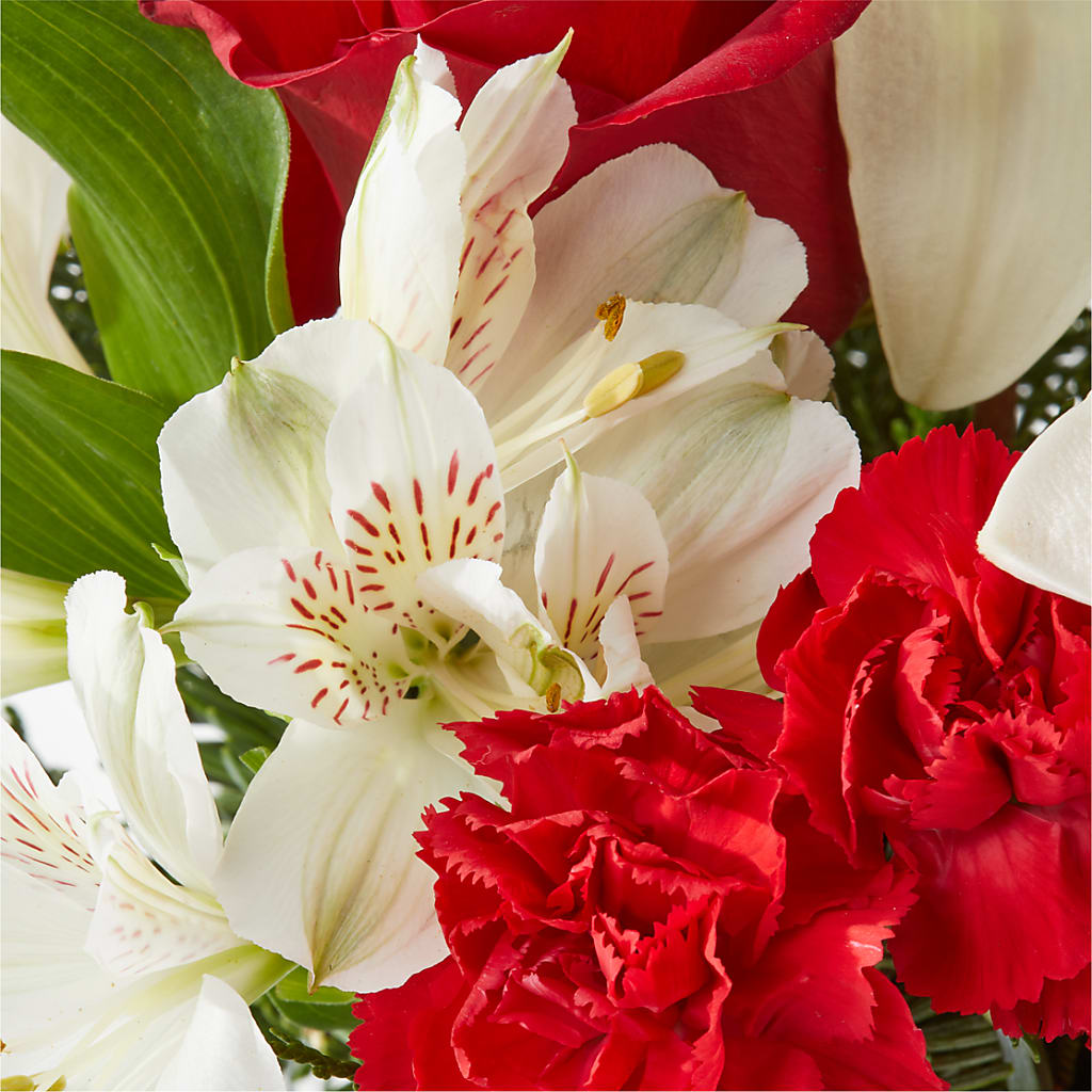 Holiday Season Bouquet –  La Maison De Fleur, Pierre Part LA