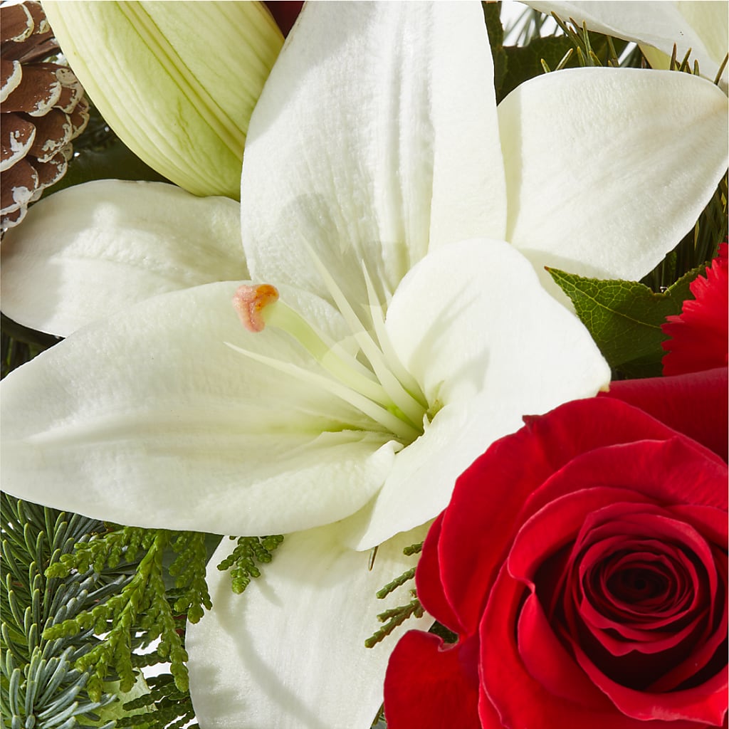 Oh So Jolly Bouquet –  La Maison De Fleur, Pierre Part LA