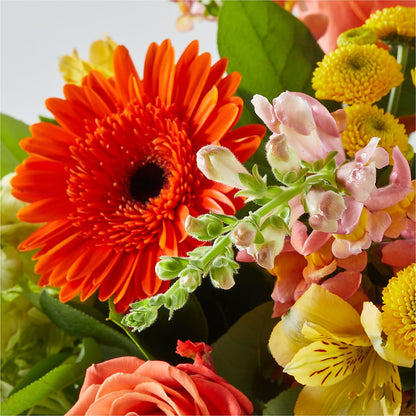 Autumn Sunshine Bouquet –  La Maison De Fleur, Pierre Part LA