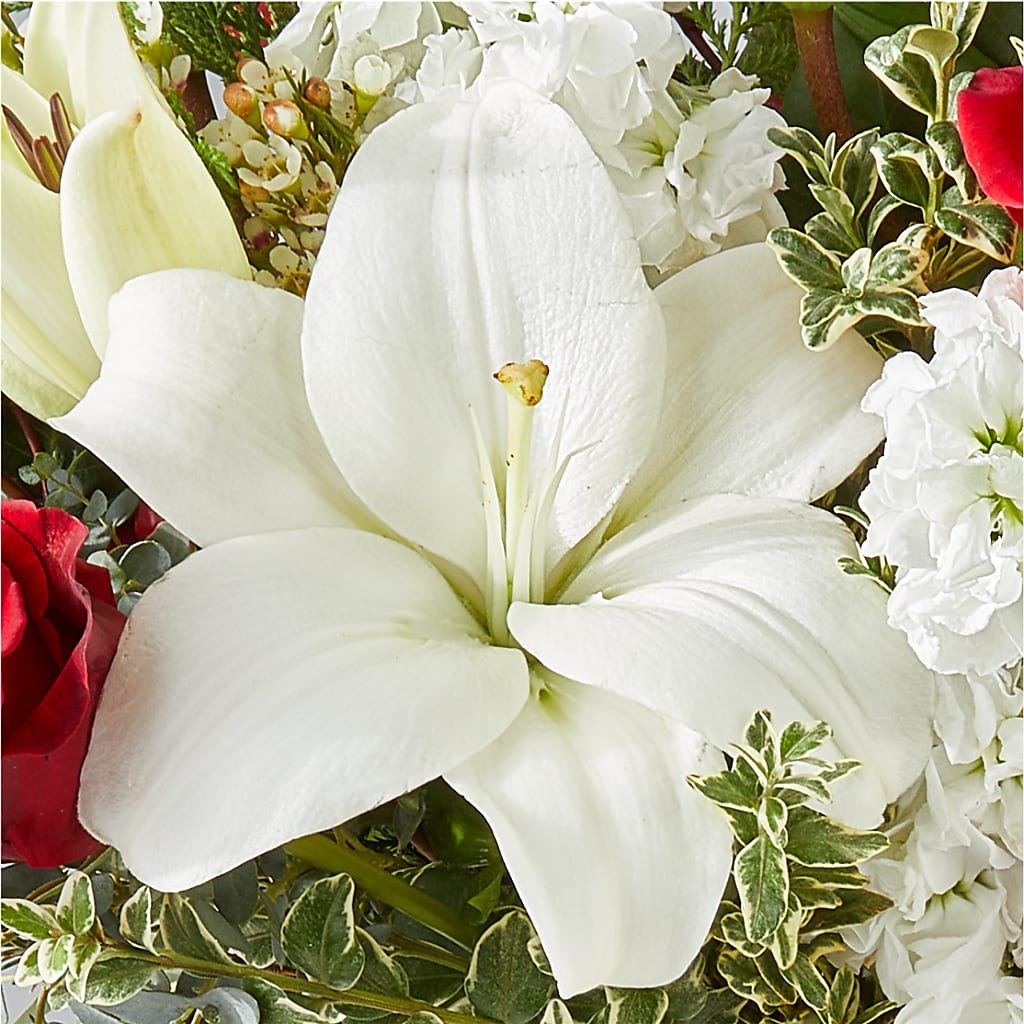 Twinkle Lights Bouquet –  La Maison De Fleur, Pierre Part LA