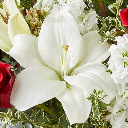 Twinkle Lights Bouquet –  La Maison De Fleur, Pierre Part LA
