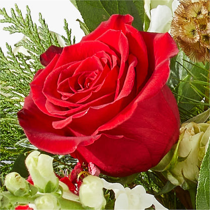 Deck the Halls Bouquet –  La Maison De Fleur, Pierre Part LA