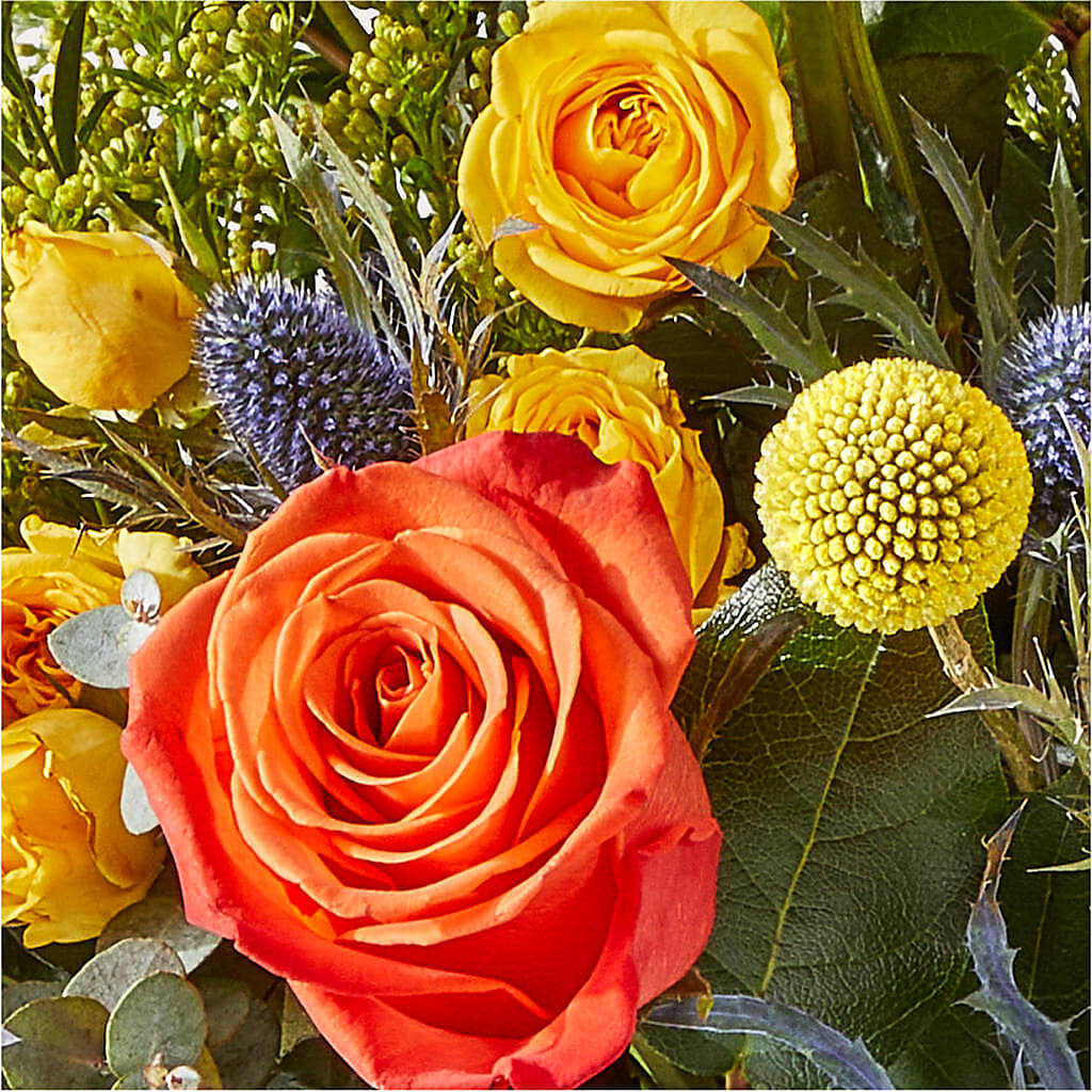 Disco Bouquet –  La Maison De Fleur, Pierre Part LA