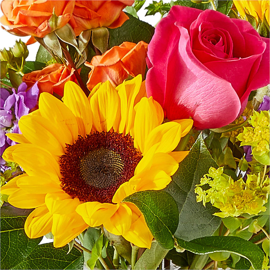 Vibrant Greetings Bouquet –  La Maison De Fleur, Pierre Part LA