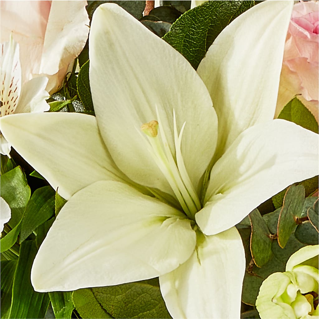 Ballet Slippers Bouquet –  La Maison De Fleur, Pierre Part LA