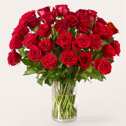 The One Red Rose Bouquet –  La Maison De Fleur, Pierre Part LA