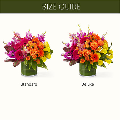 The Mosaic –  La Maison De Fleur, Pierre Part LA