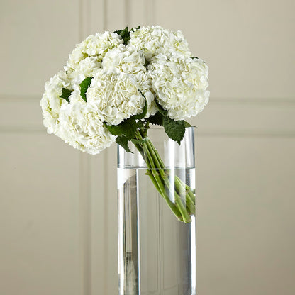 White Hydrangea Hand-Tied Bouquet –  La Maison De Fleur, Pierre Part LA