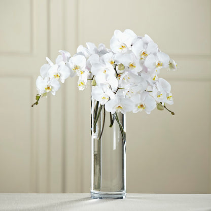 White Phalaenopsis Bouquet –  La Maison De Fleur, Pierre Part LA